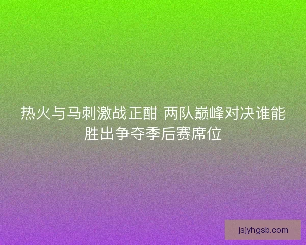 热火与马刺激战正酣 两队巅峰对决谁能胜出争夺季后赛席位