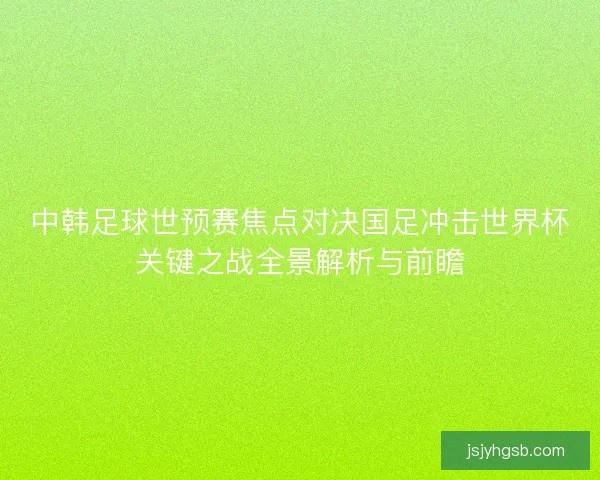 中韩足球世预赛焦点对决国足冲击世界杯关键之战全景解析与前瞻